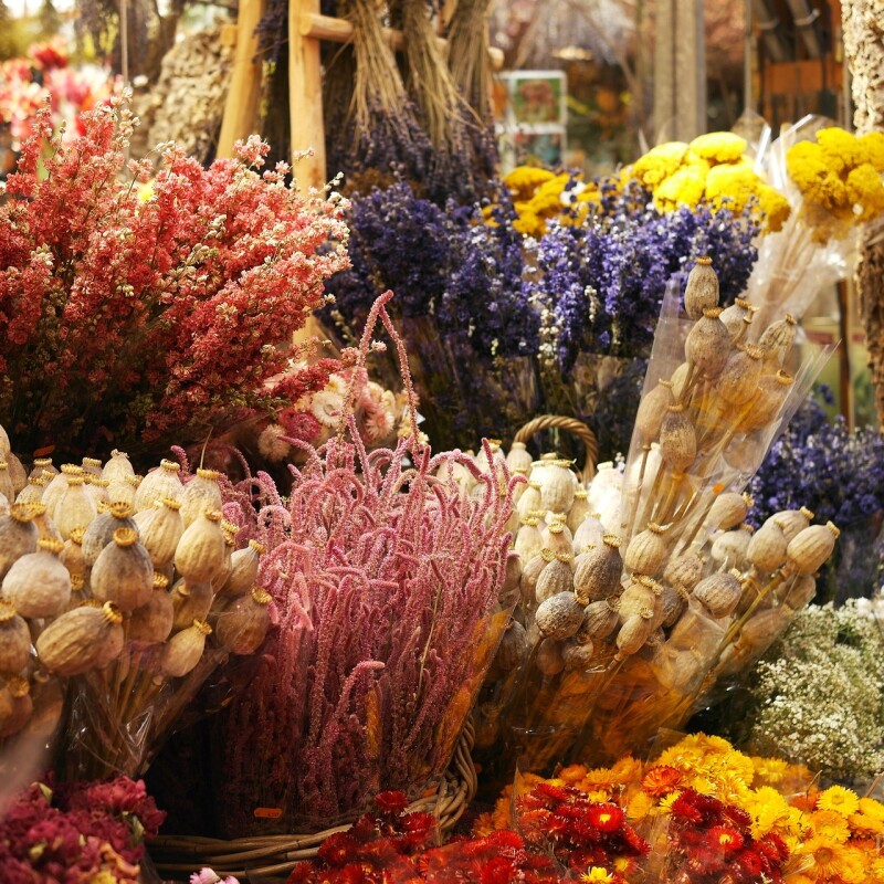 Fleurs Séchées "Marron Caramel"