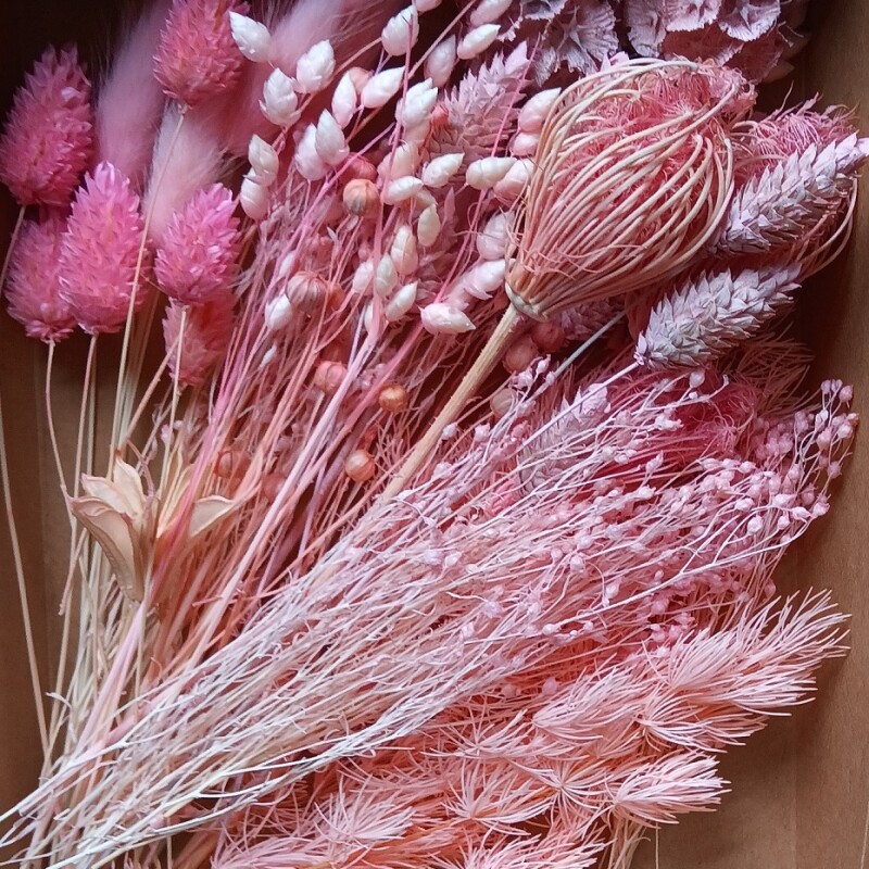 Fleurs Séchées "Rose Pink"