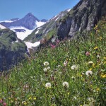 Les Parfums Fleurs de la Montagne