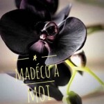 FLEURS: Orchidée Noire